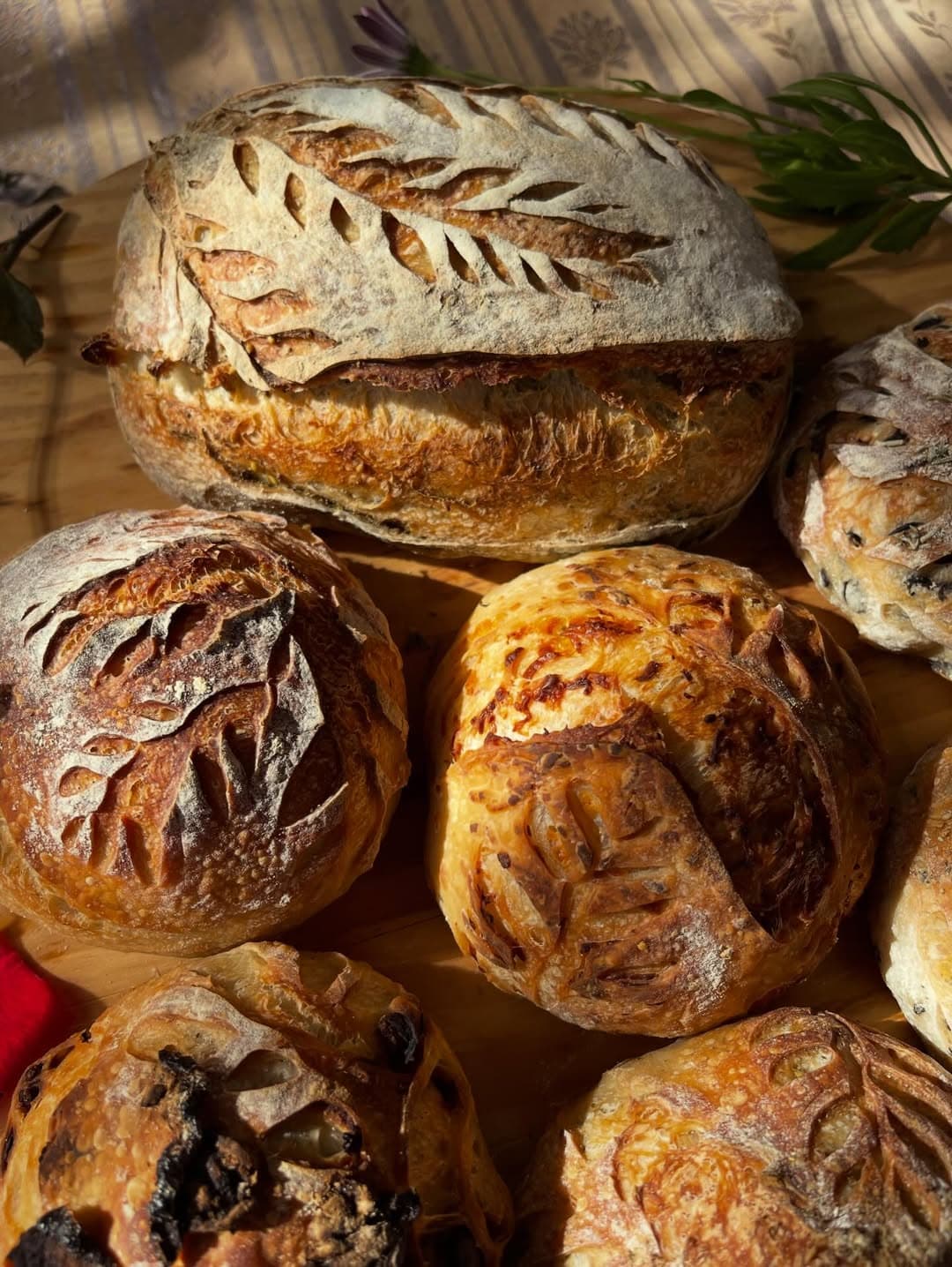 Sourdough by Anina's Home Kitchen