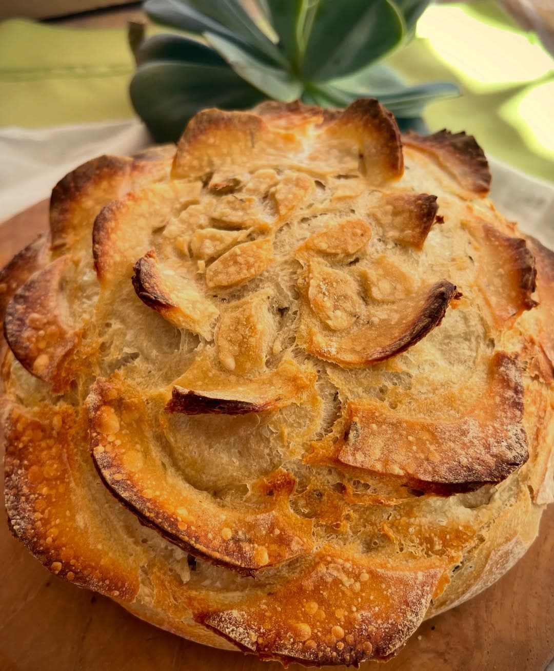 Custom Scored Sourdough in Temecula bread photo 4